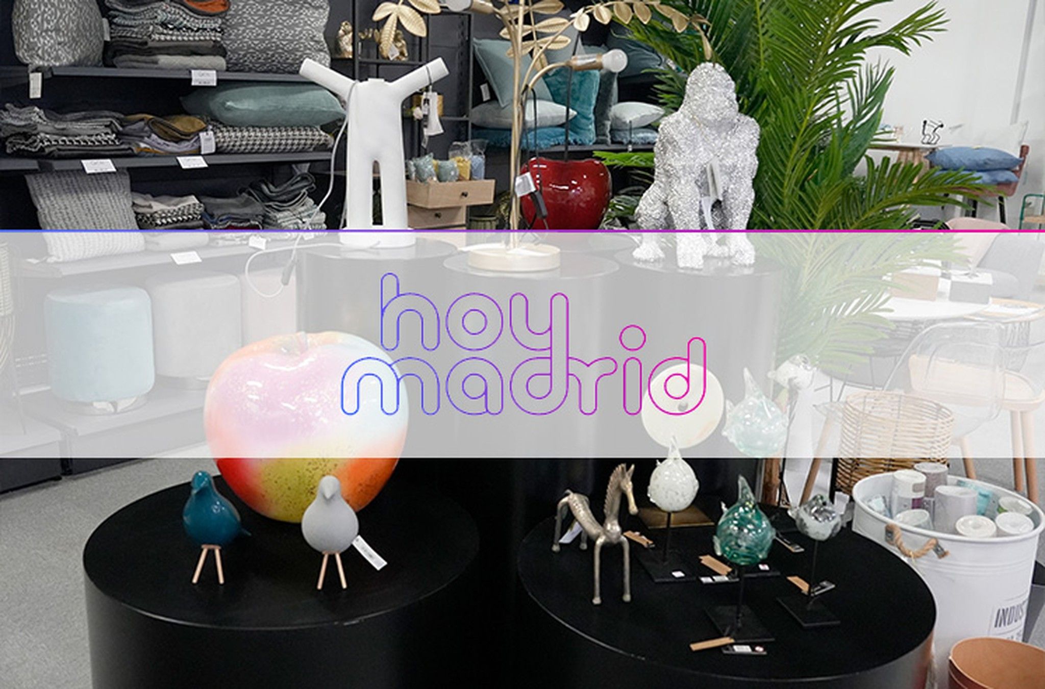 HOY MADRID SALDILLO LANDING