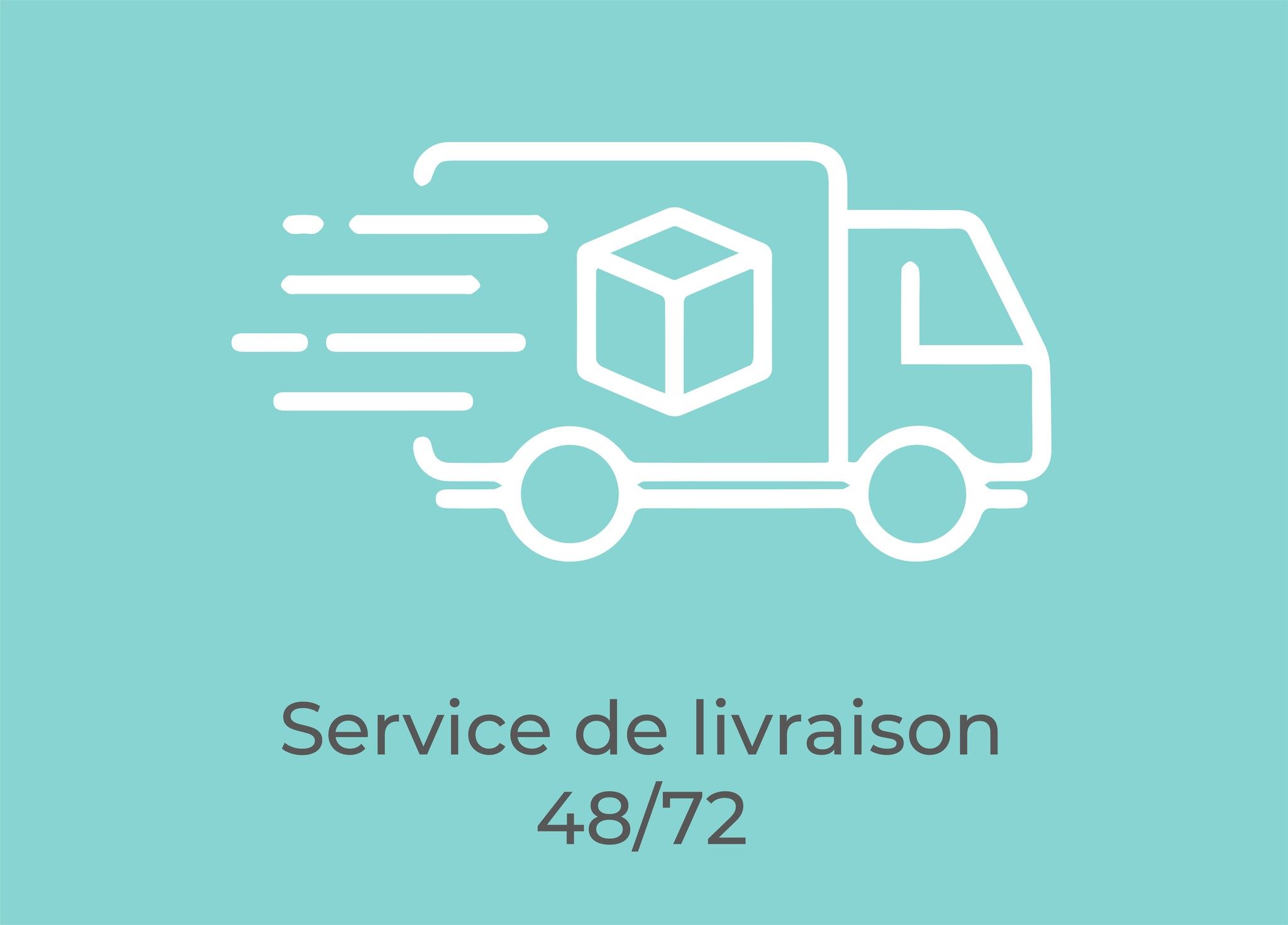 QECHIC-PRO-ICONO-SERVICIO DE ENVIO