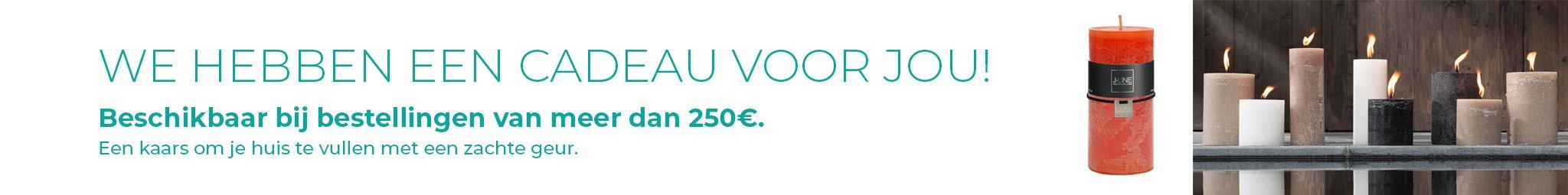 REGALO COMPRA SCHULLER