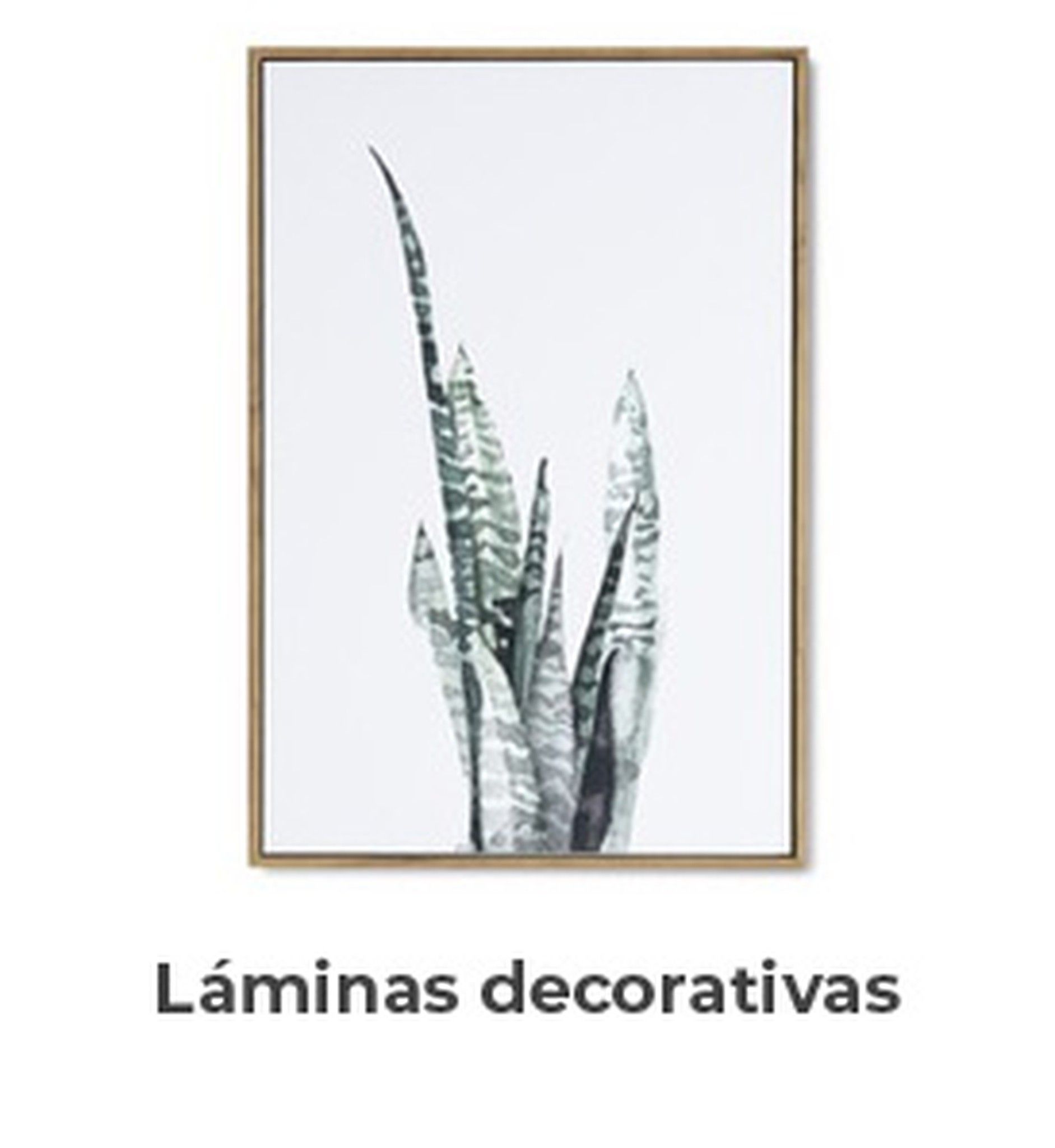 Rebajas Láminas decorativas