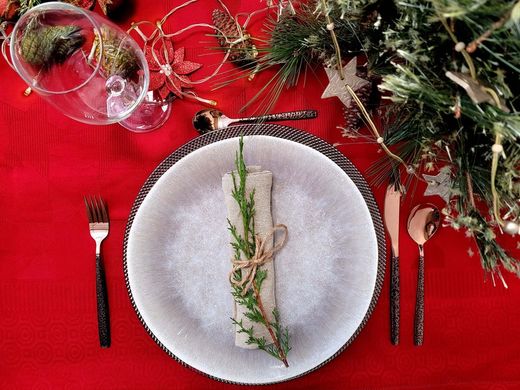 Ότι πρέπει για το Χριστουγεννιάτικο τραπέζι σας