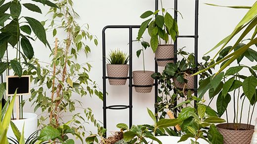 Is het goed om kunstplanten of -bloemen in huis te hebben?