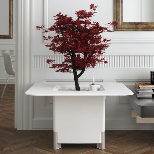 Ανακαλύψτε τις γλάστρες Mondum: μεταμορφώσιμες και λειτουργικές