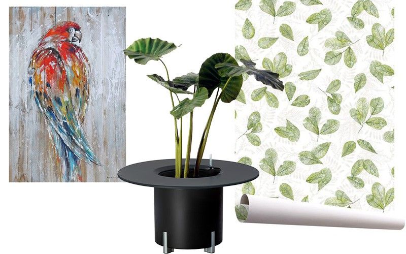 Animales tropicales y plantas