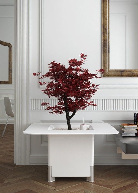 Producto estrella: Maceta Mondum