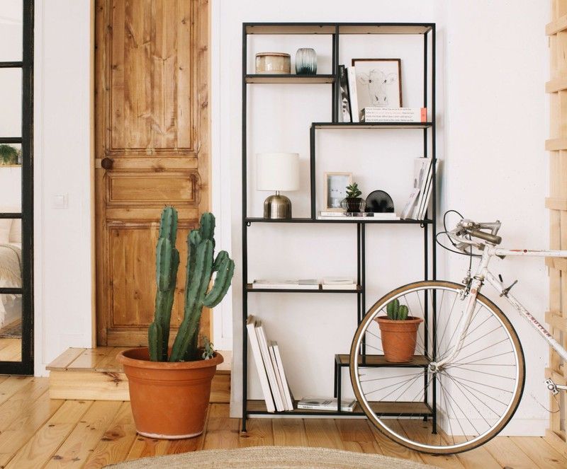 Apuesta por plantas y flores