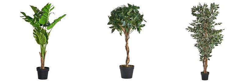 1. Las plantas, protagonistas de la deco invernadero: