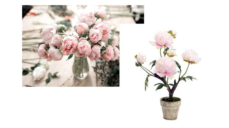 ¡Díselo con flores!