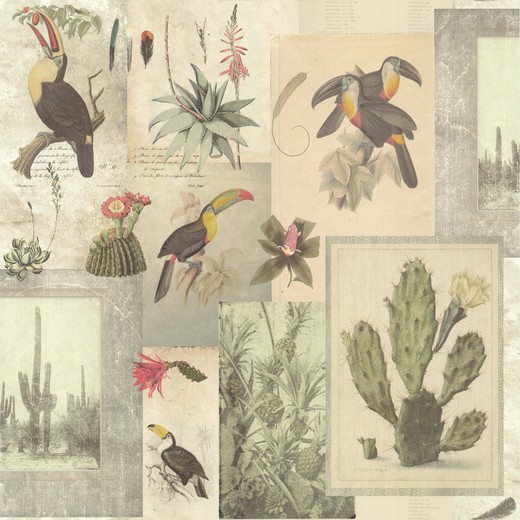 AIRAM-Wallpaper collage uccelli e piante esotiche beige, 1000x53 cm