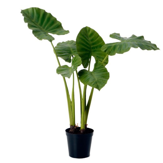 Planta artificial Alocasia royal verde y negro, Ø30 x 130 cm