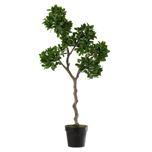 Kunststof Ficus Chinese Vijgenboom L Groen/Zwart38x30x120cm