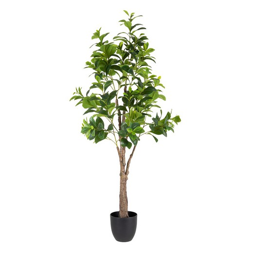 Künstlicher Peperomia-Baum Grün, Ø37x145cm