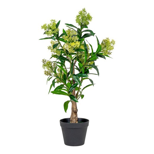 Albero skimmia in polietilene verde, 40 x 40 x 75 cm | Skimmia