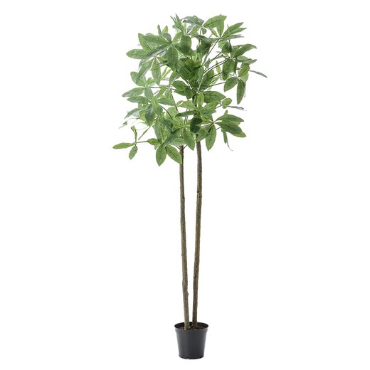 Pachira Mac Tree aus grünem Kunststoff, Ø90x276cm
