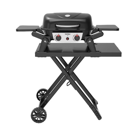 Barbecue a gas con carrello in acciaio nero, 96,8 x 58 x 101,11 cm | Erie