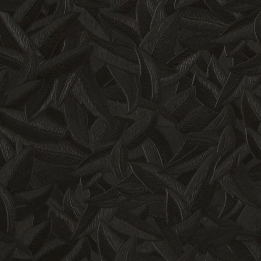 CARLOMAGNO 2-behang met zwarte veren, 1005x70 cm