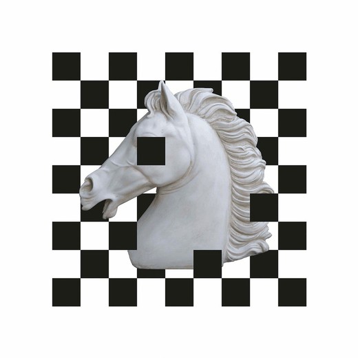 Zwart/wit acryl paardenbeeld, 70x3x70cm