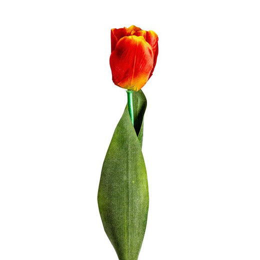 Flor Artificial de Tulipan Naranja, Ø15x64 cm