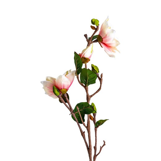 Λευκό/Ροζ Λουλούδι Yulan, Ø16x101cm