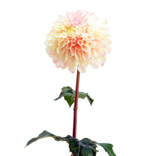 Flor Artificial de Dalia Lady Blanca/Rosa, Ø12x55 cm — Qechic
