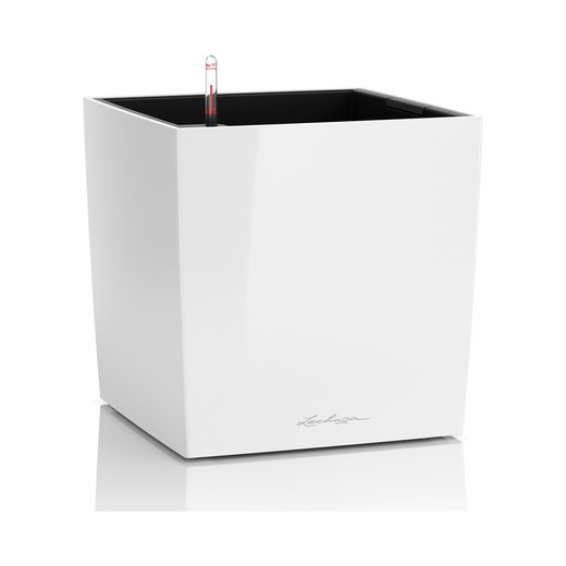Autoriego Pot Cube Owl Premium 29.5 x 29.5 x 30 cm Complete Kit White