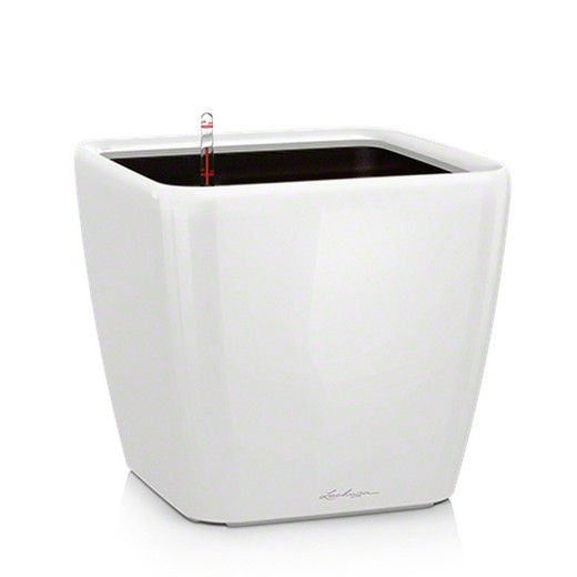 Self-watering polypropylene pot in glossy white, 28 x 28 x 26 cm