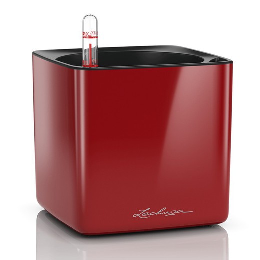 Self-watering polypropylene pot in glossy red, 14 x 14 x 14 cm