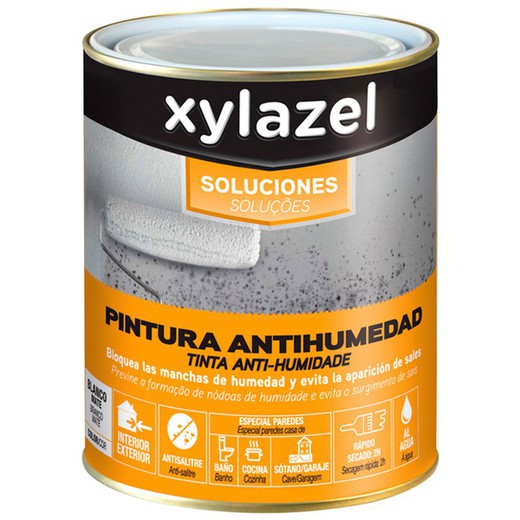 Spray Pintura Antimanchas XYLAZEL Blanco 500 ml. – Colorauto pintura  profesional