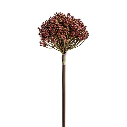 Purple Allium Plant, Ø12x57cm