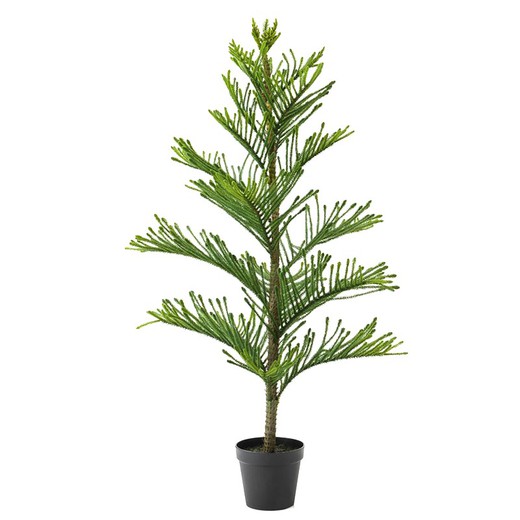 Araucaria Cookii Mac Πράσινο Πλαστικό Φυτό, Ø70x152cm