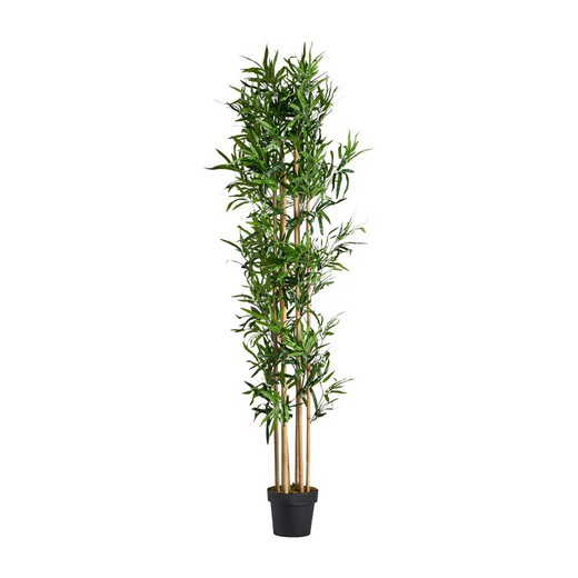 Planta artificial Bambú verde, Ø40 x 190 cm
