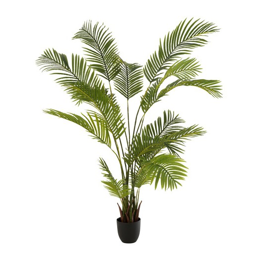 Planta artificial Chrysalidocarpus de plástico verde, Ø87 x 170 cm