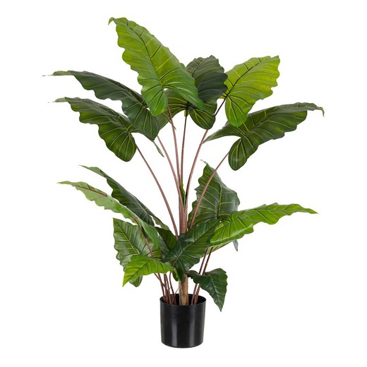 Green Artificial Colocasia Plant, Ø42x130cm