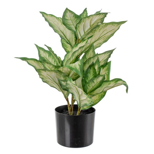 Plante Dieffenbachia Artificielle Vert/Blanc, Ø42x52cm