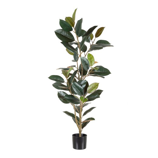 Pianta artificiale Ficus, verde scuro, 49 x 45 x 125 cm