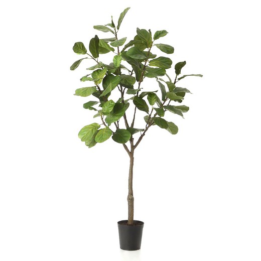 Planta artificial Ficus Lyrata de plástico verde, Ø53 x 203 cm
