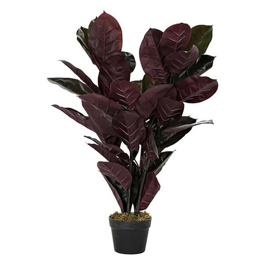 Planta de hevea S Verde escuro, Ø40x90cm