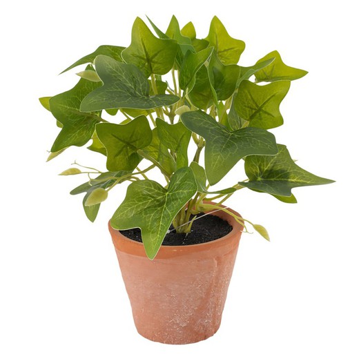 Planta artificial Hiedra verde, Ø22 x 22 cm