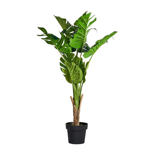 Planta Monstera Verde, 44x150 cm