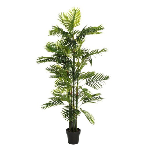 Pianta artificiale di palma Areca verde, Ø50x170cm