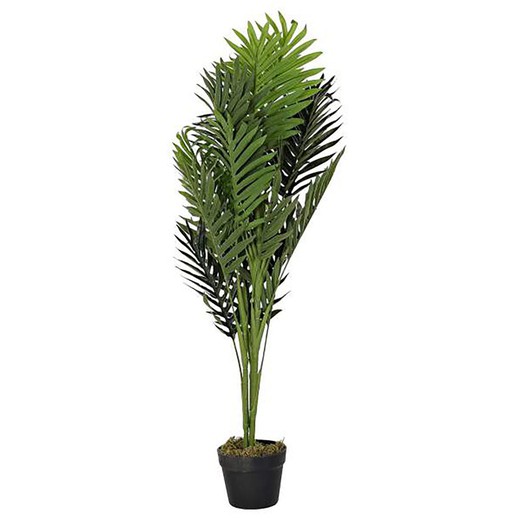 Planta artificial Palmera S verde, Ø40 x 100 cm