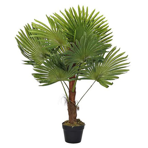 Palm Plant XS Verde, Ø40x90cm