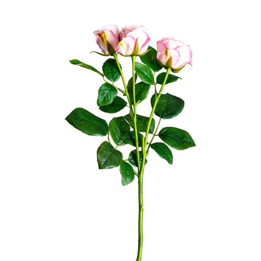 Rosa Rose Plant, Ø1x48cm
