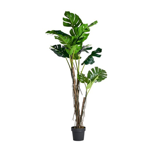 Green Plant, Ø35x180cm
