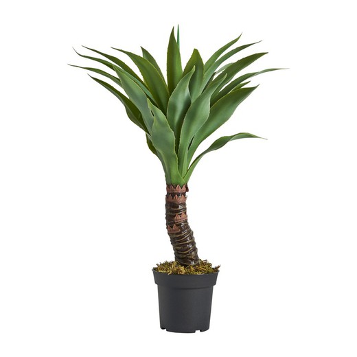 Grøn Yucca Plante, Ø35x65cm