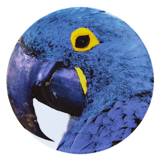 Plato presentacíon Arara Azul porcelana Olhar O Brasil, Ø32,7x2,8 cm