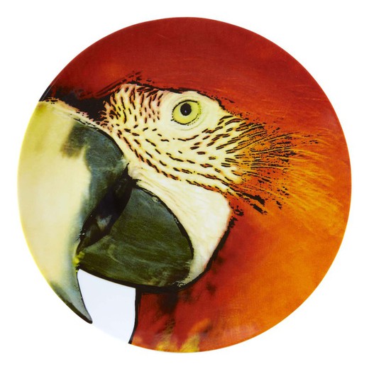 Plato presentacíon Arara Rojo porcelana Olhar O Brasil, Ø32,7x2,8 cm