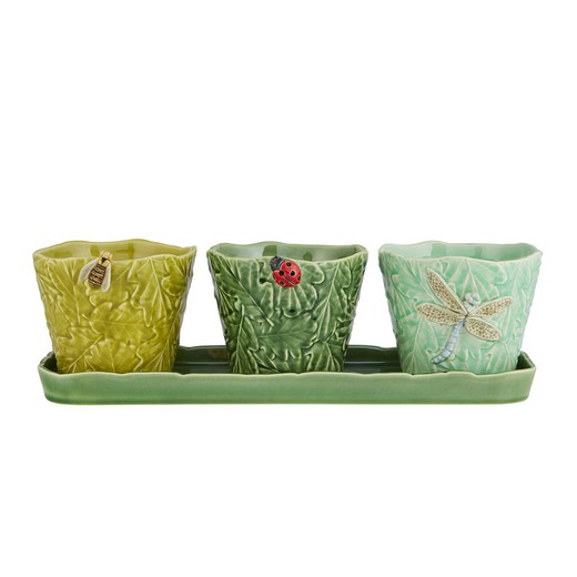 Conjunto de 3 vasos de barro verde e água marinha, 42,9 x 14 x 12 cm | Jardim de insetos