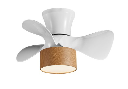 Beech Ceiling Fan with White/Natural Fly Led Light, Ø55