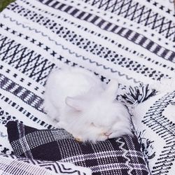 Tappeto bianco e nero in PET riciclato al 100%, 140 x 200 cm